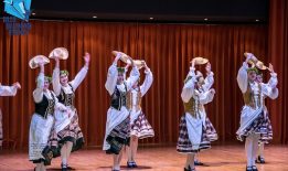 Folklorni festival Bled – Slovenija — fotografija 13 od 19