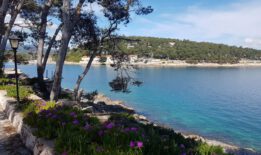 festival de folklore Croacia — φωτογραφία 14 από 27